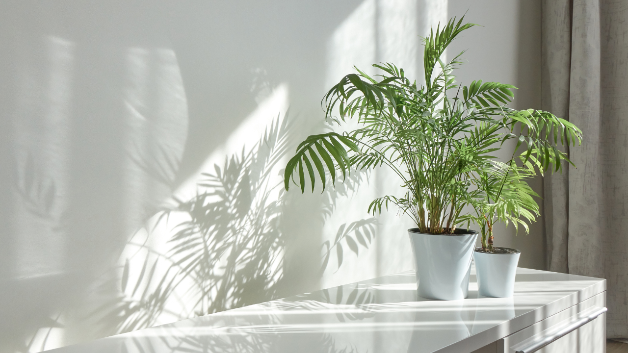 家の中の空間を適切な温度にコントロールできる